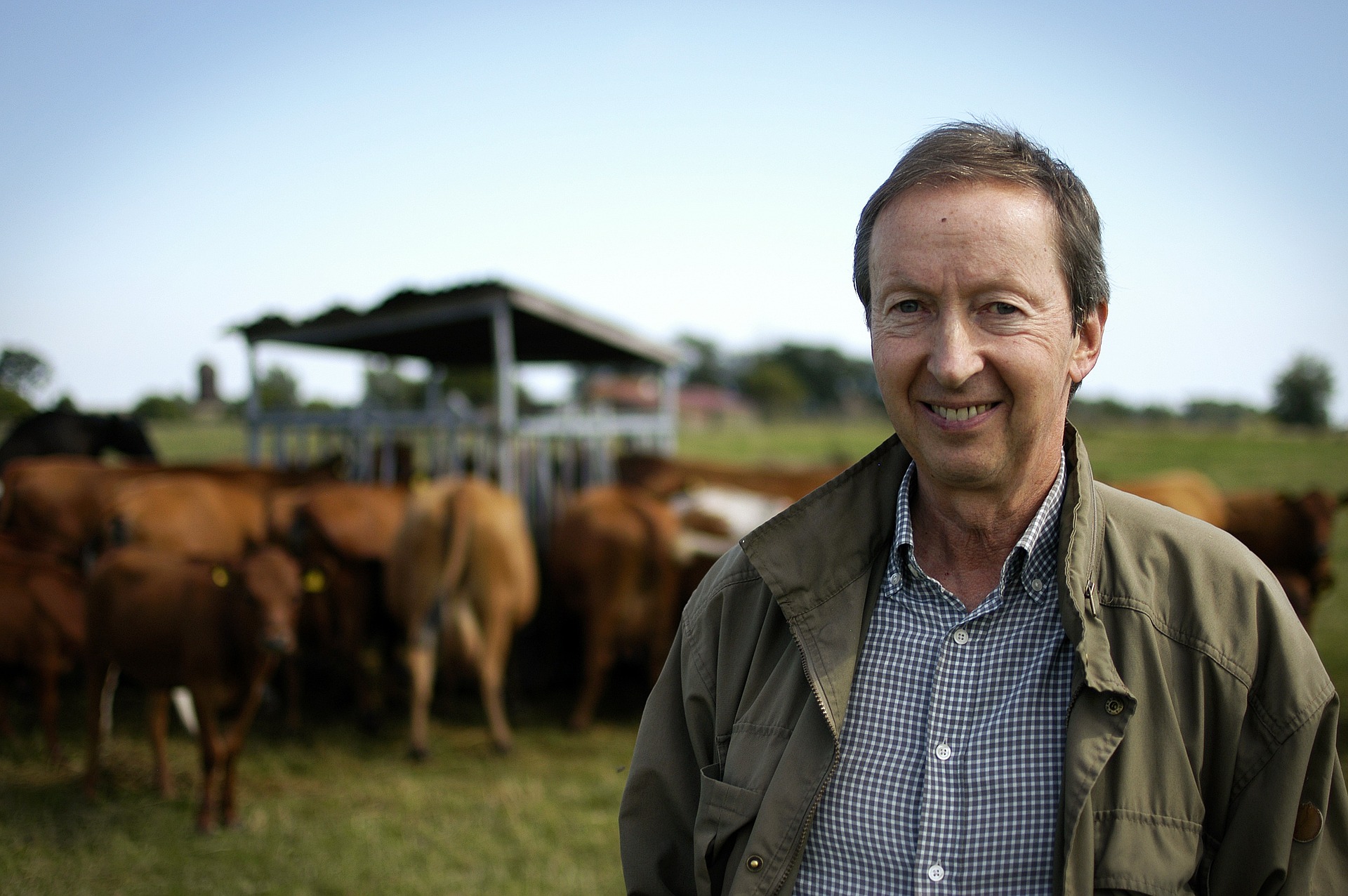 Kingswood farmer